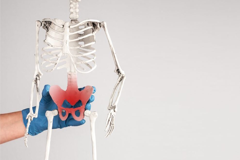 photo of skeleton showing pelvic pain