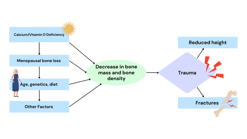 Osteoporosis